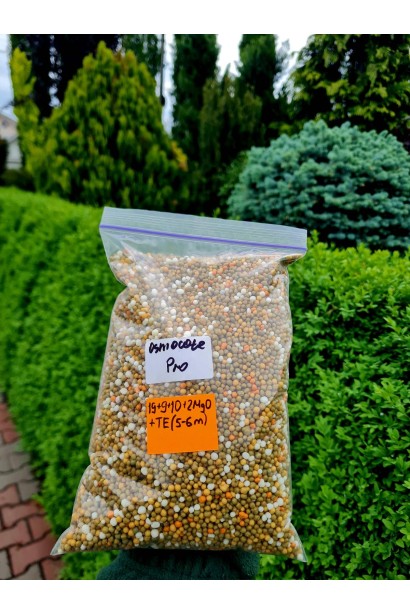 NPK 19-9-10 + 2MgO + мікроелементи (Fe, Mn, Zn, B, Cu, Mo)